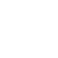 Unity Icon